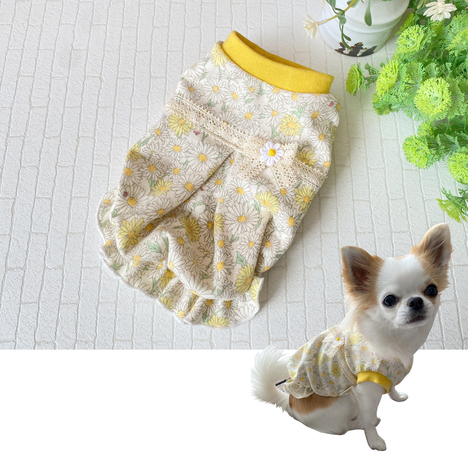 87%OFF! 犬服ハンドメイド♡miyuno様専用♡ atak.com.br 87%OFF! 犬服ハンドメイド♡miyuno様専用♡ atak.com.br