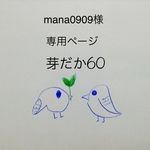 mana0909様の専用ページ　上靴入れ