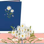 ポップアップグリーティングカード　Daisies with Blue Morpho Butterfly