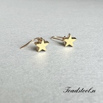 小さな星  ピアス☆イヤリング