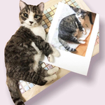 《オーダー》羊毛フェルトで作る　うちのこそっくり人形