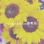 𓈒𓏸𓐍taytayleon様専用𓐍𓏸𓈒