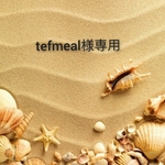 tefmeal様専用