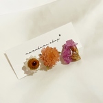 ﾅﾁｭﾗﾙﾌﾗﾜｰ① ＊ ﾋﾟｱｽ
