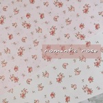 Romantic rose