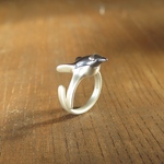 new空飛ぶペンギン