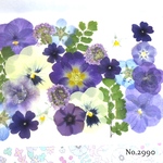 ♡new♡作家様必見♡押し花MIXセット♡押し花セット