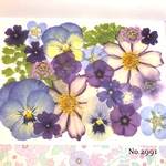♡new♡作家様必見♡押し花MIXセット♡押し花セット