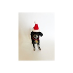 ハンターくん専用 羊毛フェルトオーダー ミックス犬