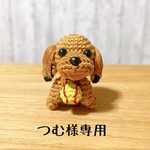 つむ様専用ページ