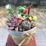 ★送料無料★♡そのまま飾れる♡リメ鉢♬カエルちゃんの多肉植物寄せ植え╰(*´︶`*)╯♡