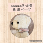 aaaaoi3rd様専用