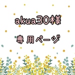 専用ページ