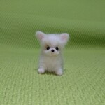 チワワ クリーム パピー 羊毛フェルト