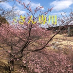 Sさんオーダー品