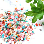 New！レジン　ネイルに　小さなシェルチップ　５５g