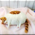 羊毛フェルト　猫　ねむねむなデブ猫さん　茶トラハチワレ猫　ブサ猫   チャトラ　ハチワレ　ねこ　ネコ　猫フィギュア