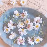 【ドライフラワー】花かんざし