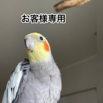 miyuhina7312様　専用ページ
