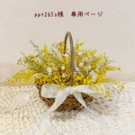 ＊ppt265s様　専用ページ＊
