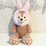 顔出しシリーズ❤︎犬用❤︎ハッピーイースター❤︎ピンク
