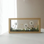 Botanical BoxFrame たんぽぽ 