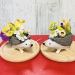 mano-kuma様専用ページ💕ミモザカモミール🌼ハリネズミ大小セット🦔