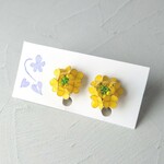 ～快活～ナノハナのイヤリング