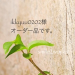 ikkyuu0202様オーダー品です！