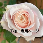 ❤️T様専用ページ