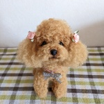 pig様ご依頼品　羊毛フェルト  犬　トイプードル
