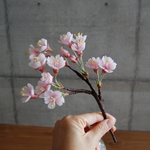 【I様専用ページ】　◆粘土のお花◆　桜　