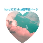 haru3737king様専用のページです。