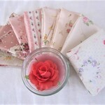 再販☆NEWカラーセレクトセット～ローズピンク3