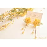 Mimosa ragazza (ミモザピアス)