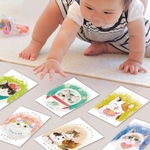 【ねこづくし】かわいい猫たちの選びとりカード