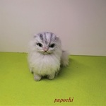 オーダー様用　お座り猫Ｓ 