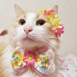 小さな春セット🌸①