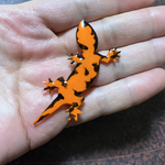 ひっくり返った赤ちゃんイモリのブローチ