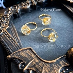 〖再販〗白蛇のタリスマンリング✶無限の発展✶ring of talisman/KakeraPlants