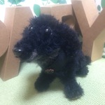 ふわもこ オーダー あみぐるみ　34yamada様専用　小鉄くん