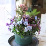 春満開のギャザリング寄せ植え