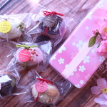 ☆春の贈り物に☆桜缶☆季節のケーキ5種類入り☆カカオ・レモン・りんご・いちご・ラムレーズン
