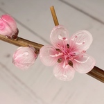 リアル桃の花のかんざし　桃の折枝