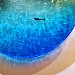 skmr1460様専用　壁掛けアートパネル ホワイトビーチ  ドルフィンと小魚達　40cm ヒーリングアート　