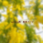 ＊ppt265s様　専用ページ＊