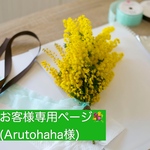 お客様専用ページ💐ミモザスワッグ(arutohaha様)