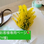 お客様専用ページ•ミモザスワッグ💐(Y様)