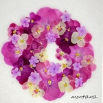 709.押し花アソート〜ピンク系　お花　mix 押し花素材