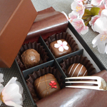 送料無料（4/10まで期間限定）桜咲く チョコレートマグネット (4個セットケース入り)